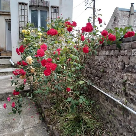 Alexia Saint-Valery-en-Caux