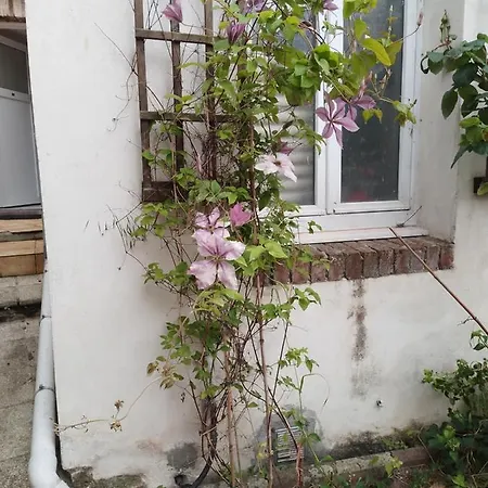 Alexia * סן-ולרי-אן-קו