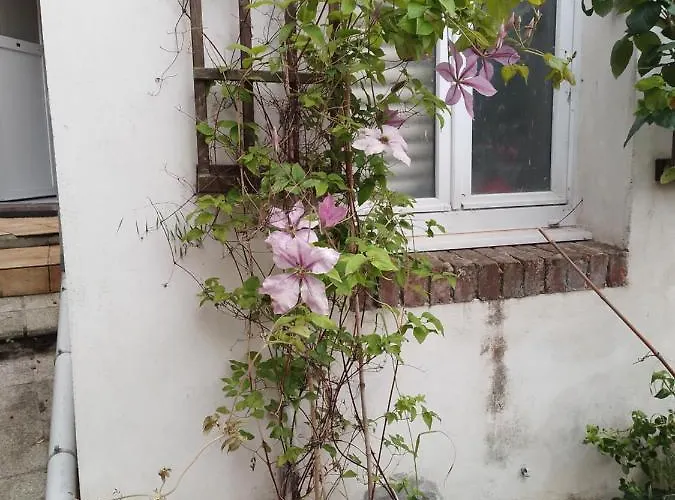 Alexia * Saint-Valery-en-Caux